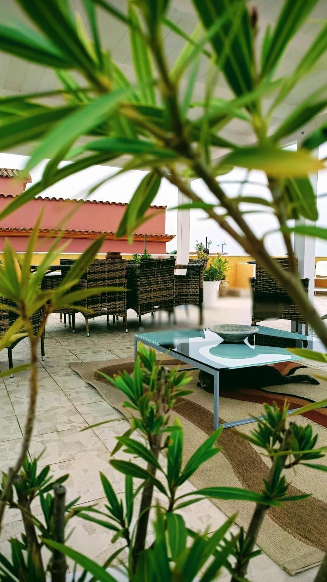 Domos Le Due Tuie Bed & Breakfast Piscinas Exterior photo